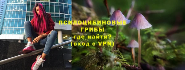круглые Алексеевка