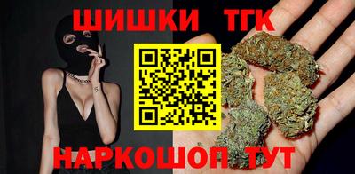 стаф Дубна