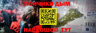 стаф Дубна