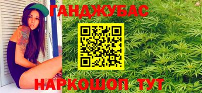 стаф Дубна