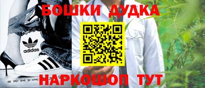 стаф Дубна