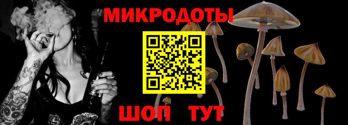 Галлюциногенные грибы Psilocybe  Вход с VPN  Кыштым 